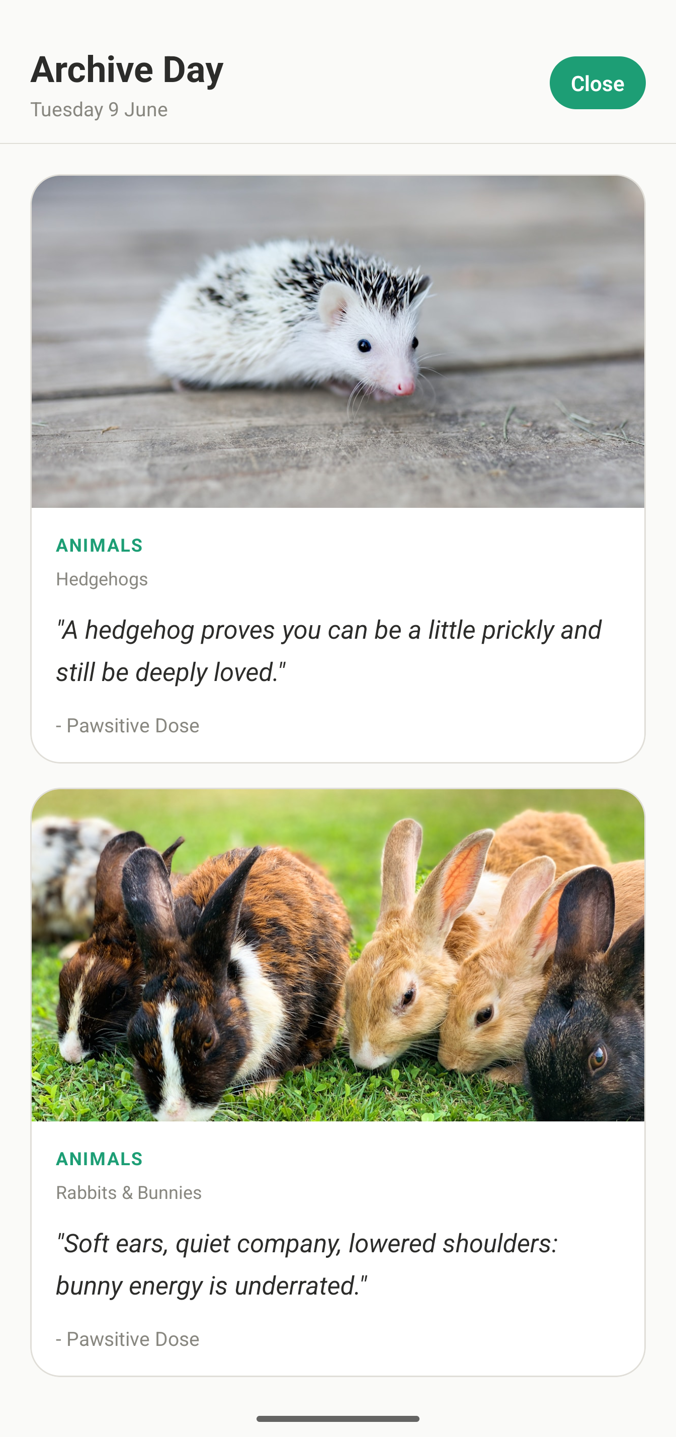 PawsitiveDose archive screen showing saved animal quote cards for hedgehogs and bunnies.