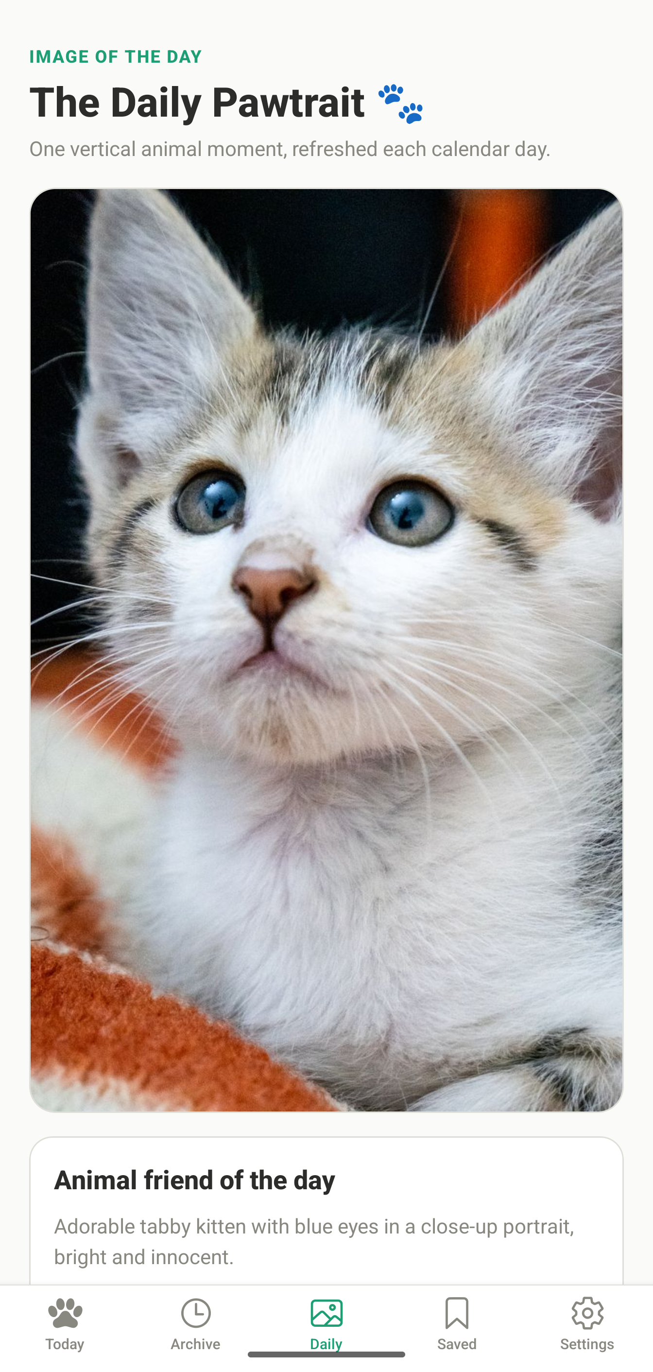 PawsitiveDose Daily Pawtrait screen featuring a tabby kitten image of the day.